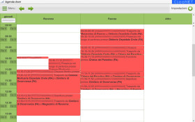 Una schermata dell'agenda giornaliera con visualizzazione e colori personalizzati
